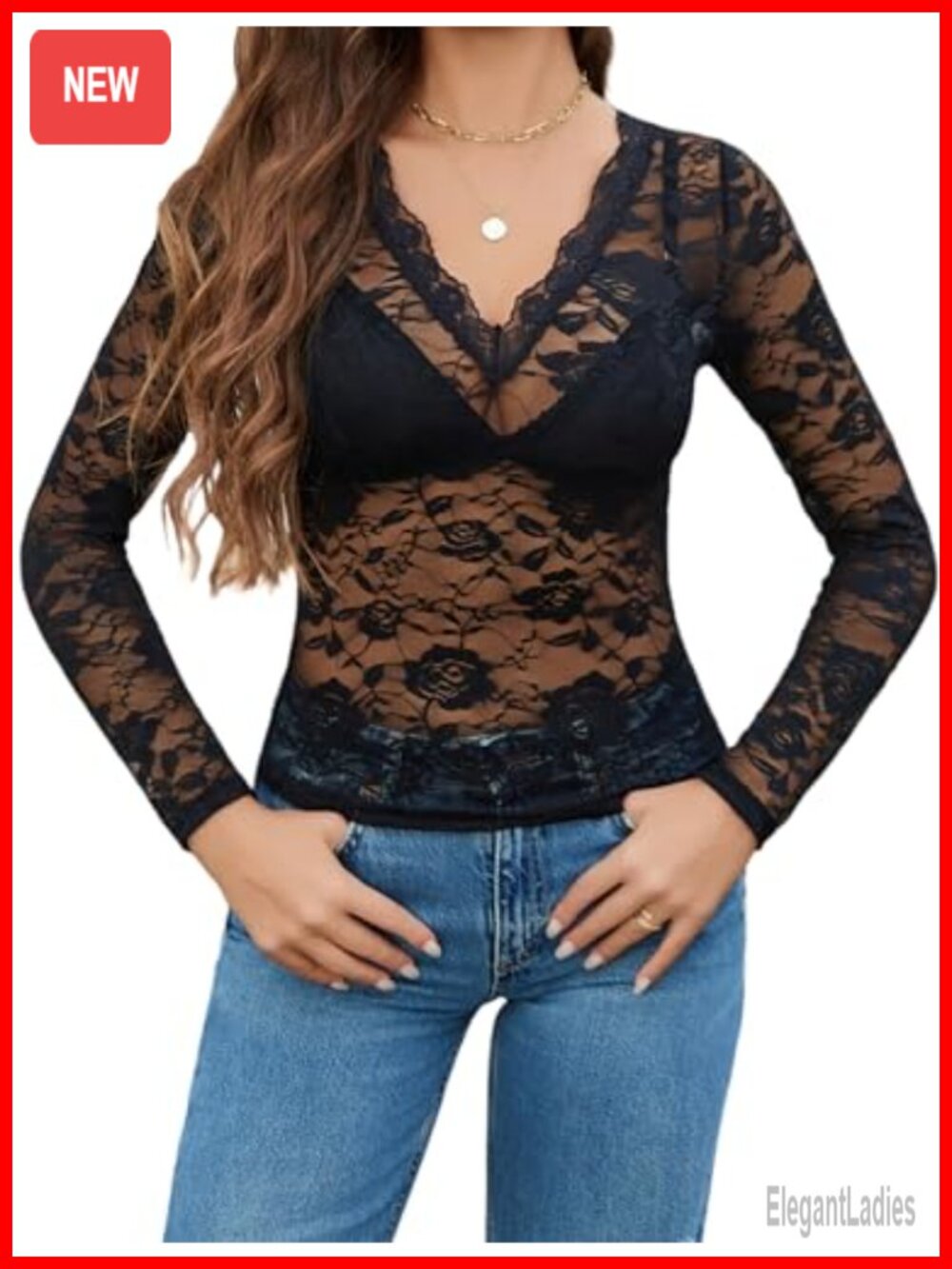 Sheer Floral Lace Mesh Top Long Sleeve V-Neck Blouse